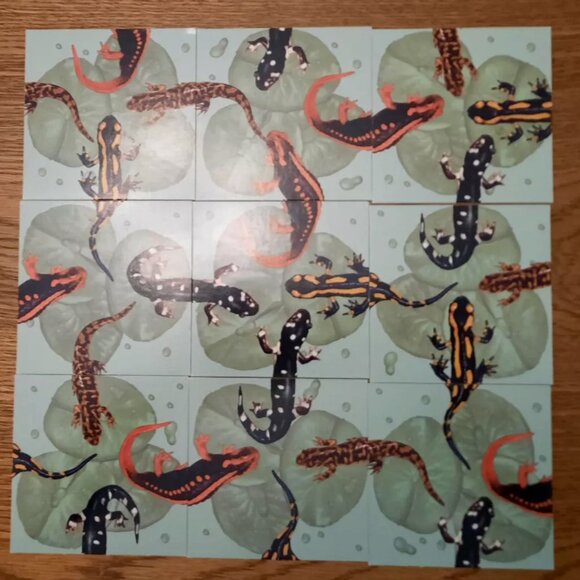 3/$20 -- Mindware Squzzle 3x3 Puzzle - Geckos - GUC - Picture 4 of 4